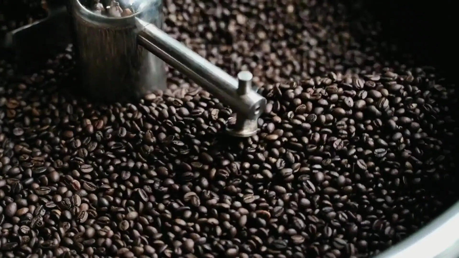 Boabe de cafea proaspăt prăjite, amestecate de brațele tăvii de răcire a prăjitorului